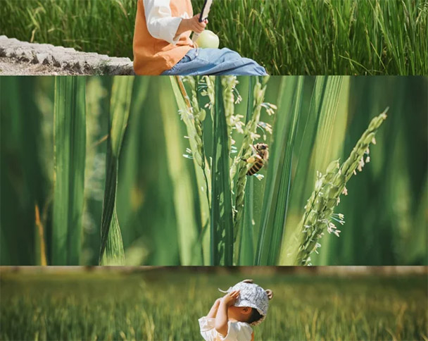 重生唐三女主角（重生唐三：唐三的女儿被取名为晶晶，厄运和幸运交织，她被影响）