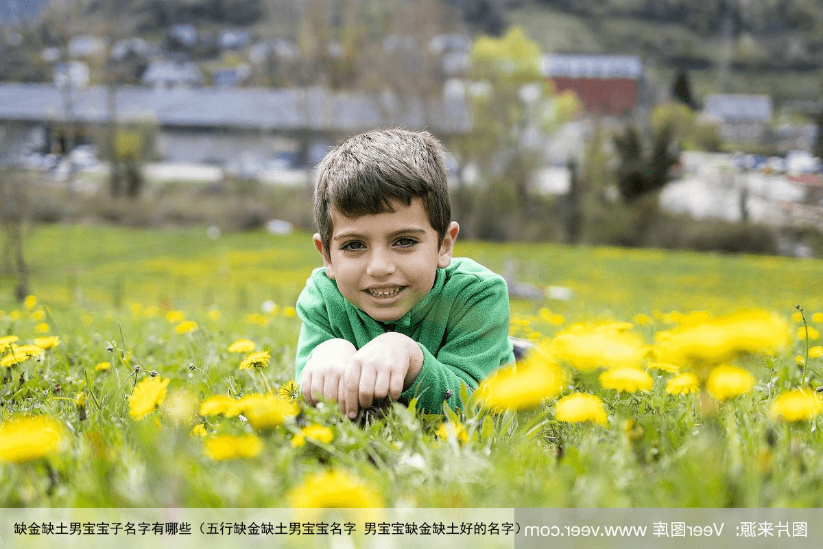 缺金缺土男宝宝子名字有哪些（五行缺金缺土男宝宝名字 男宝宝缺金缺土好的名字）