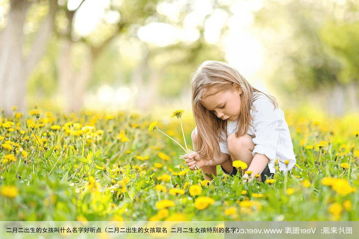 二月二出生的女孩叫什么名字好听点（二月二出生的女孩取名 二月二生女孩特别的名字）