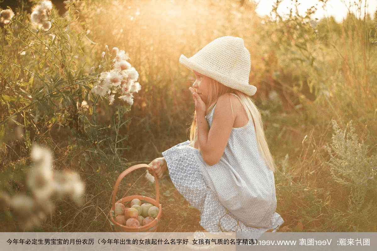 今年年必定生男宝宝的月份农厉（今年年出生的女孩起什么名字好 女孩有气质的名字精选）