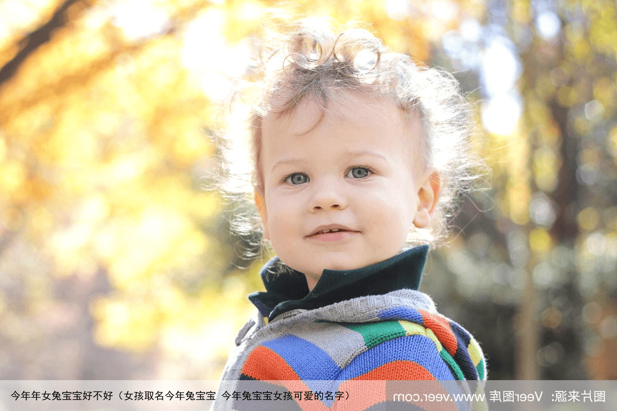 今年年女兔宝宝好不好（女孩取名今年兔宝宝 今年兔宝宝女孩可爱的名字）