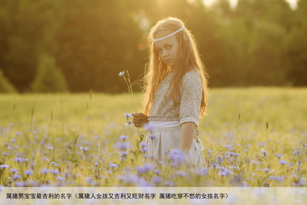 属猪男宝宝最吉利的名字（属猪人女孩又吉利又旺财名字 属猪吃穿不愁的女孩名字）