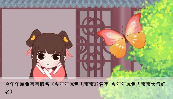 今年年属兔宝宝取名（今年年属兔男宝宝取名字 今年年属兔男宝宝大气好名）