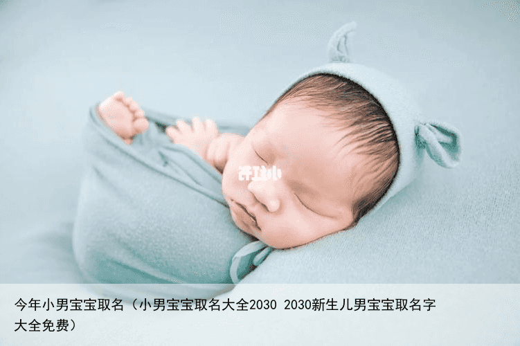今年小男宝宝取名（小男宝宝取名大全2030 2030新生儿男宝宝取名字大全免费）