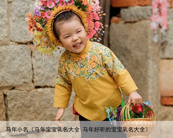 马年小名（马年宝宝乳名大全 马年好听的宝宝乳名大全）