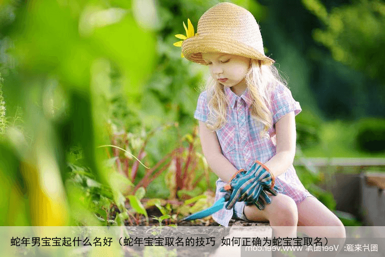 蛇年男宝宝起什么名好（蛇年宝宝取名的技巧 如何正确为蛇宝宝取名）
