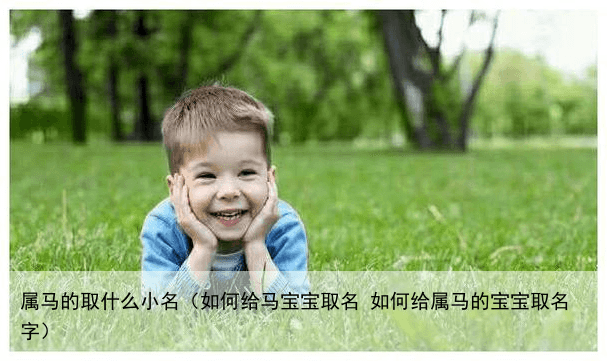 属马的取什么小名（如何给马宝宝取名 如何给属马的宝宝取名字）